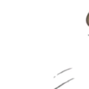 银杏树下的阿九