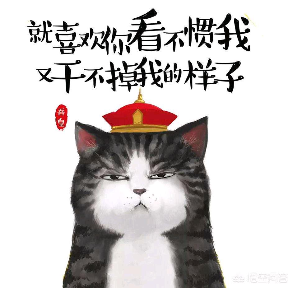 好男人不止曾小贤