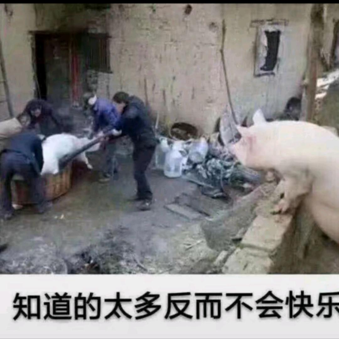 子皓丶