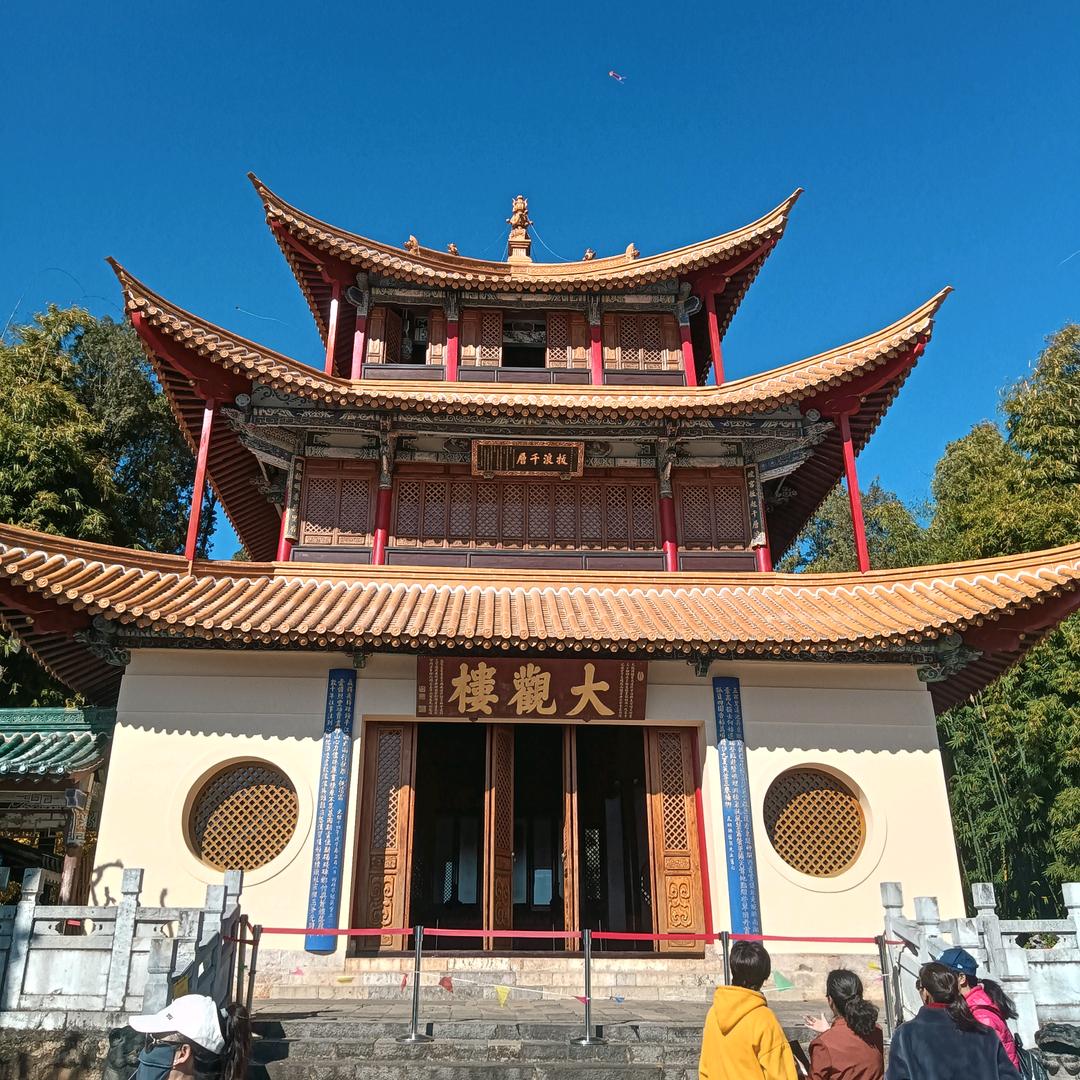 YD自由自在