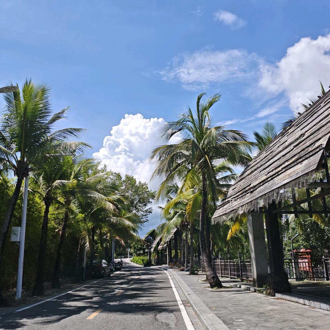 海静820(你瞎啊撞我心上了)