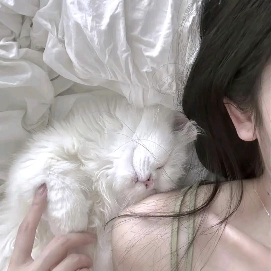 夏沫清秋᧕ᥫᩣ