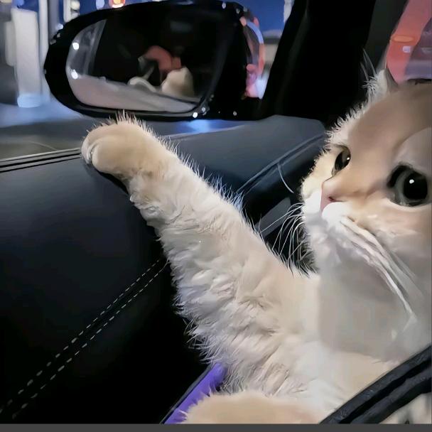 地摊儿烧烤官方号