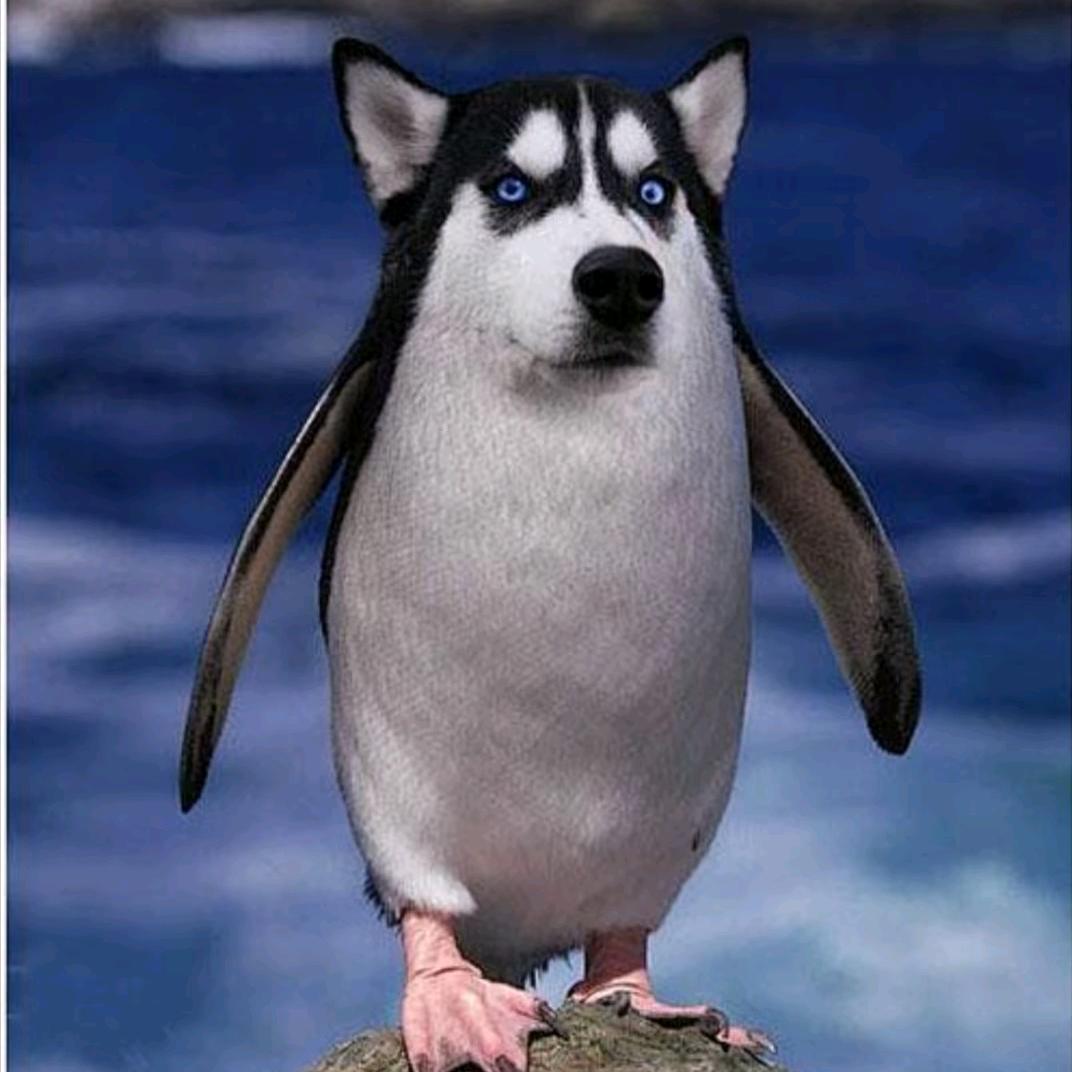 密密麻麻麻麻密密密密麻麻麻麻密密