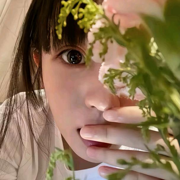 野山菊🌼
