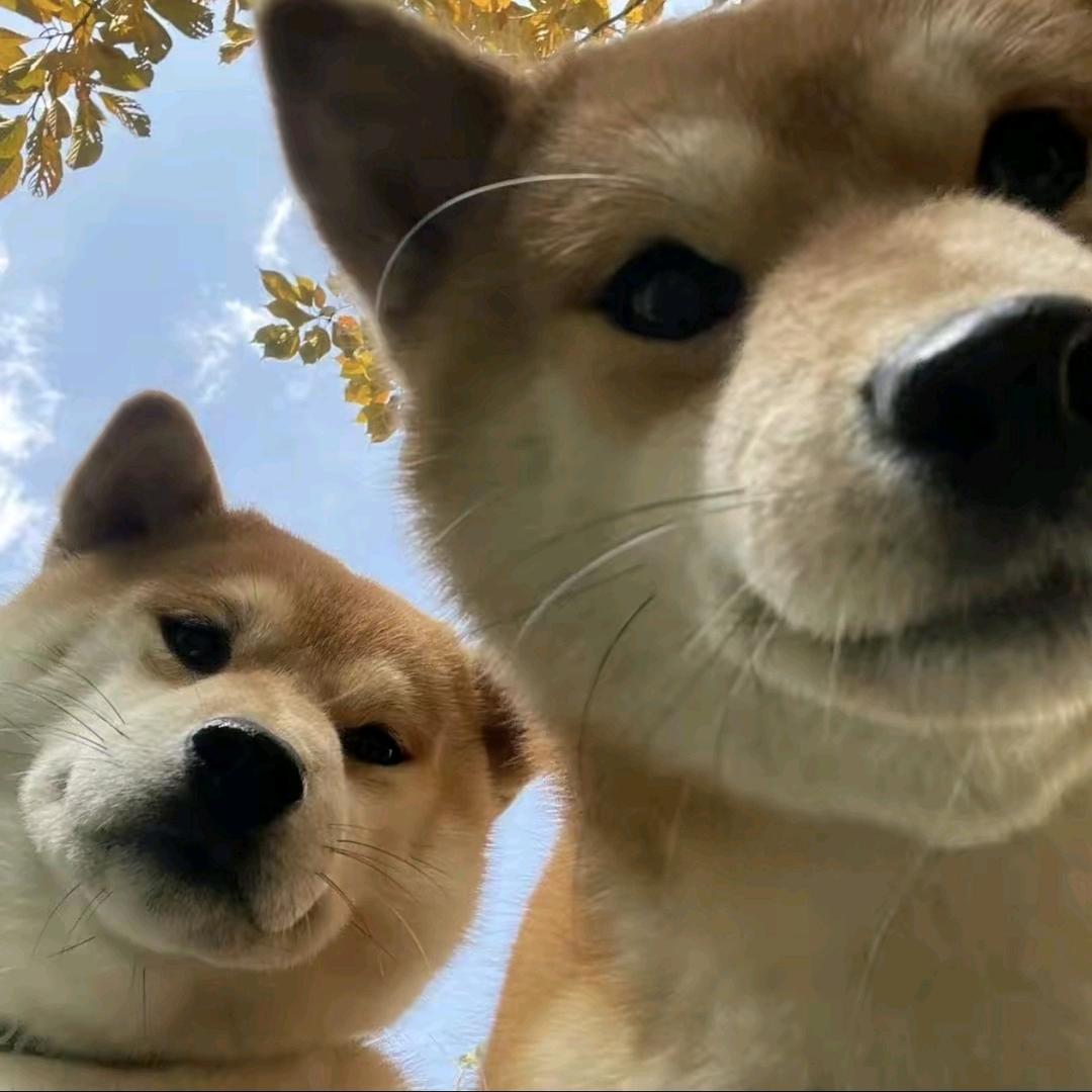 ـﮩﮩ٨ـ♡ﮩ٨ـﮩﮩ٨