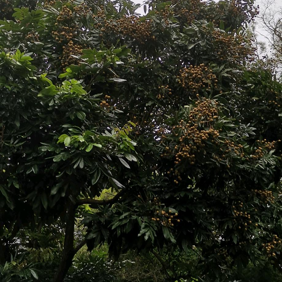 🐎🇻🇳舞点🚴‍♀️🔐