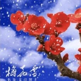 梅花🌸姐姐