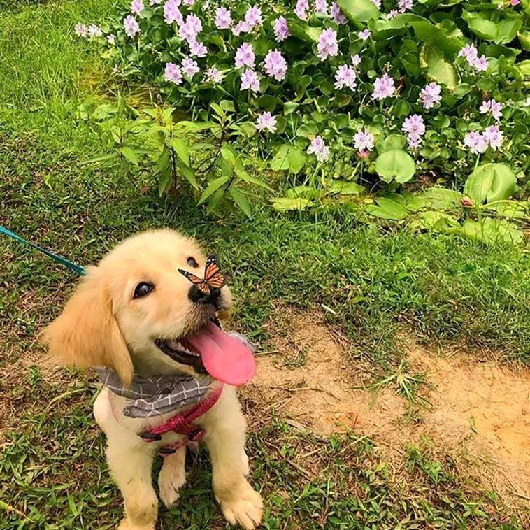 💫  曾先生 💞 ୧⍤⃝🌻