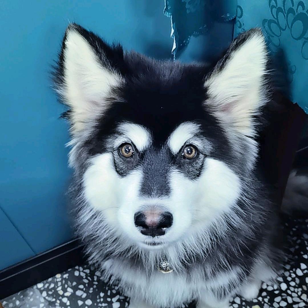 🐲伟莱滴额🐲