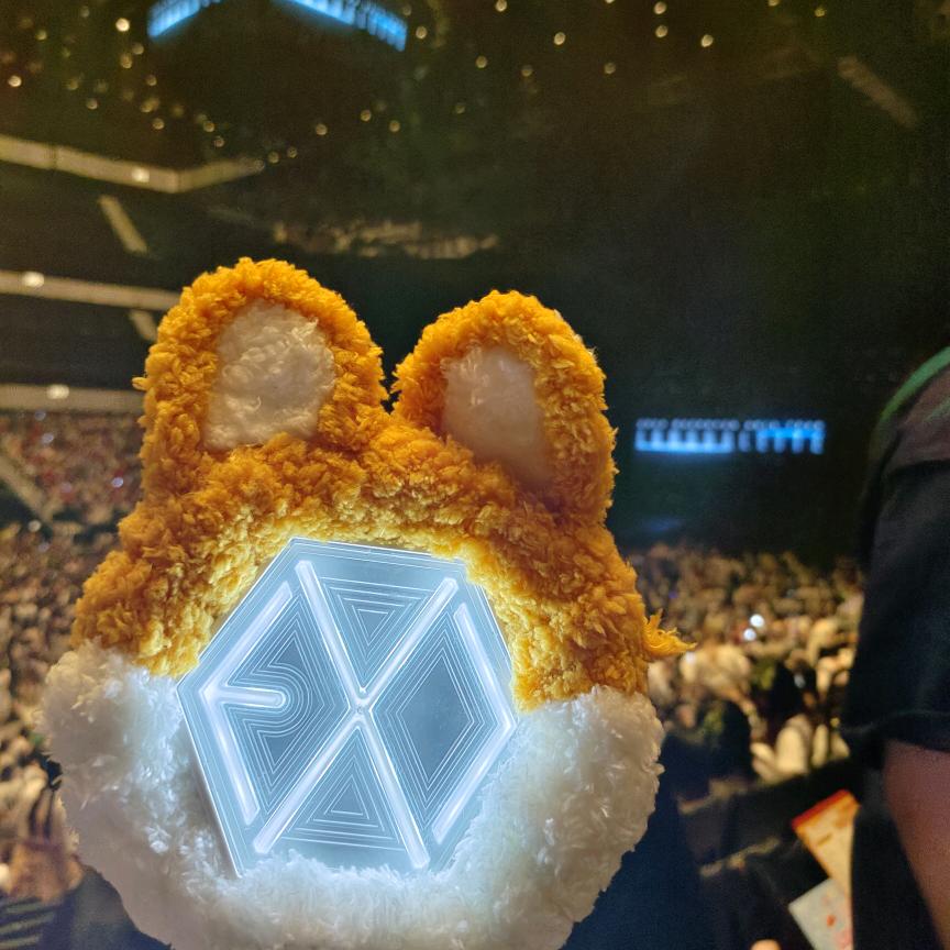 我爱的人姓是朴(见过EXO n多次)