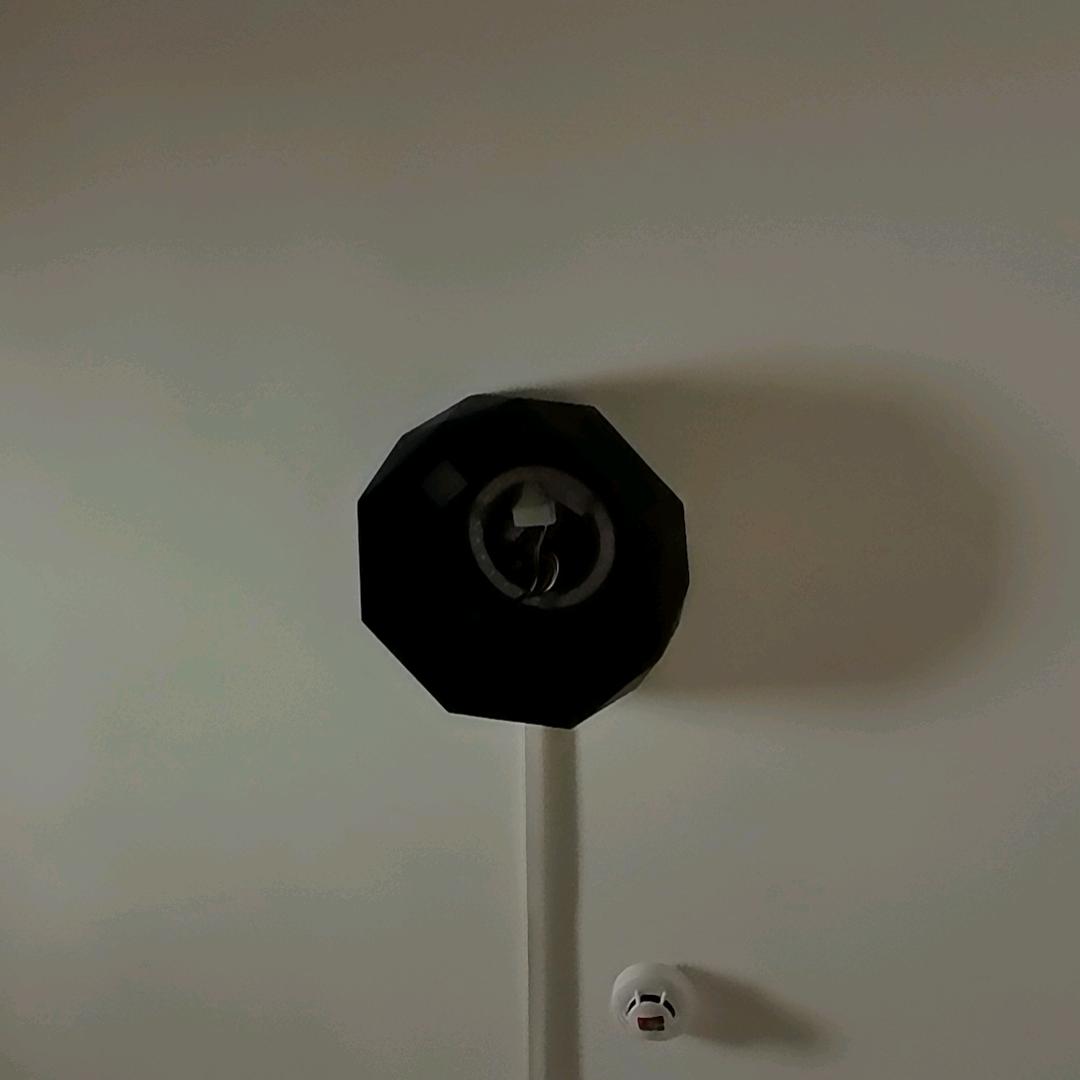 今天长这样