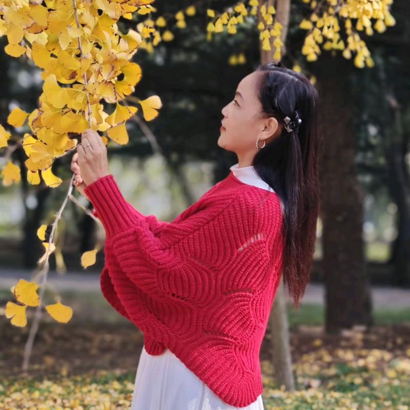 豫西黑妮《业余翻唱》