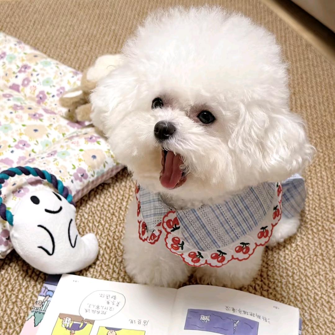 小毛孩的玩吃玩吃