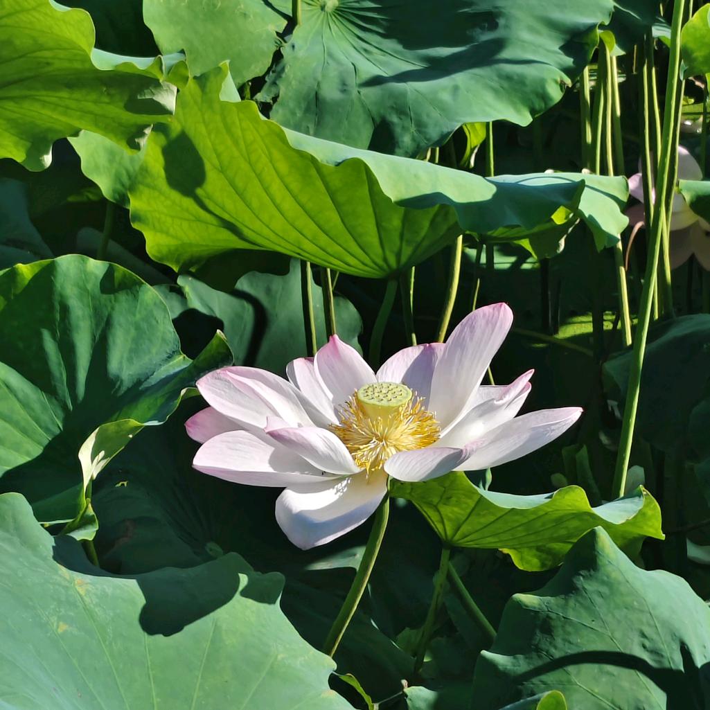 想上班（艰难毕业版）