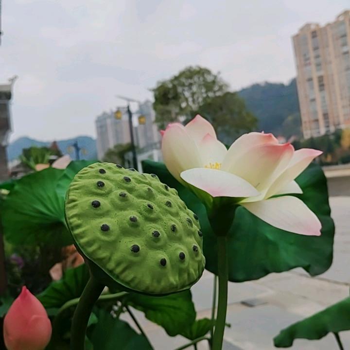 💞秋风知我意💞