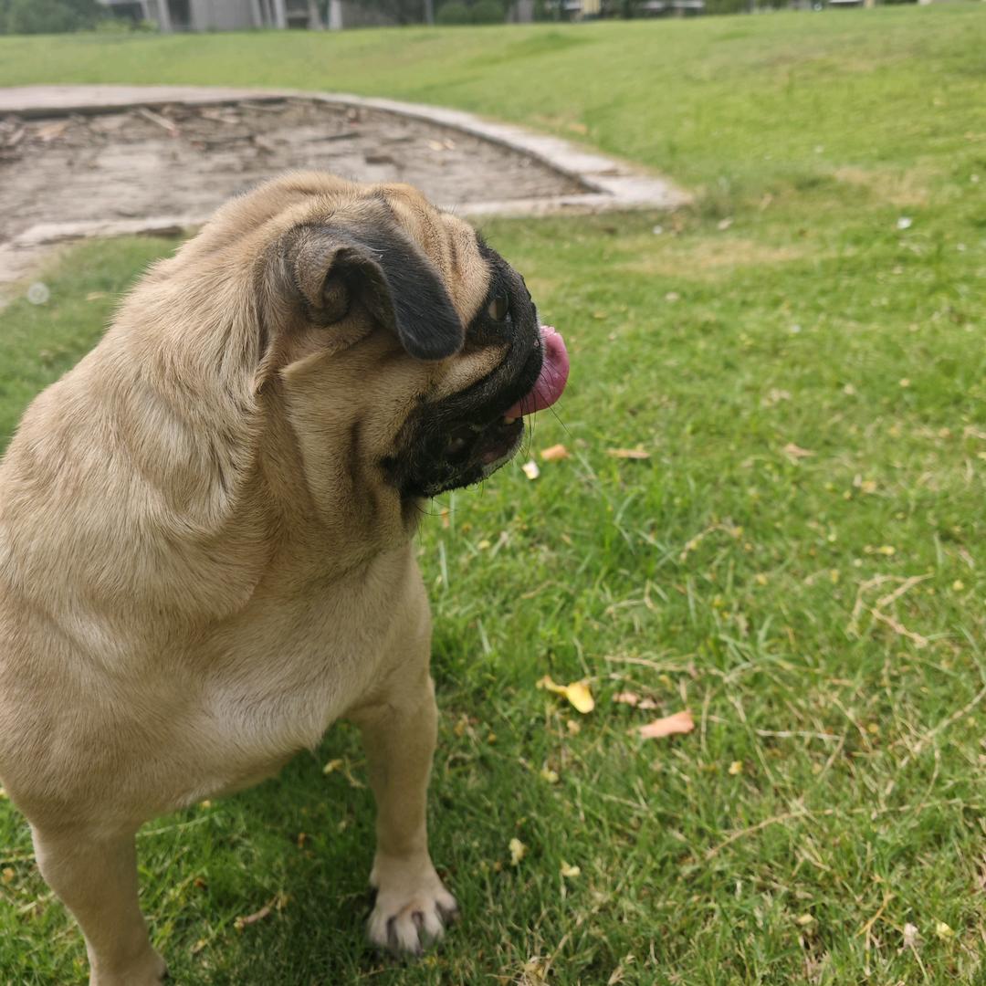 多元化商品小铺子