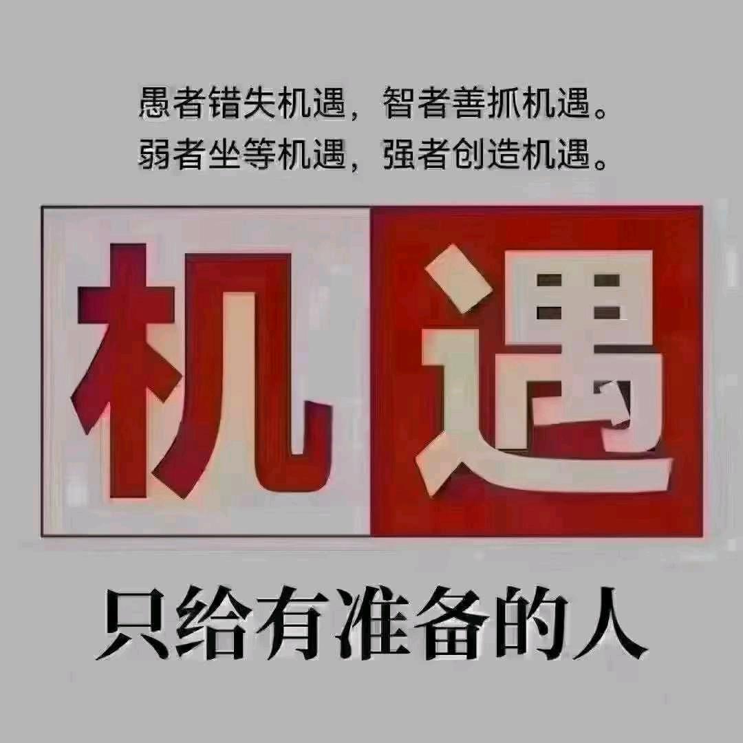 洞口县翔惠信息咨询有限公司（大号）