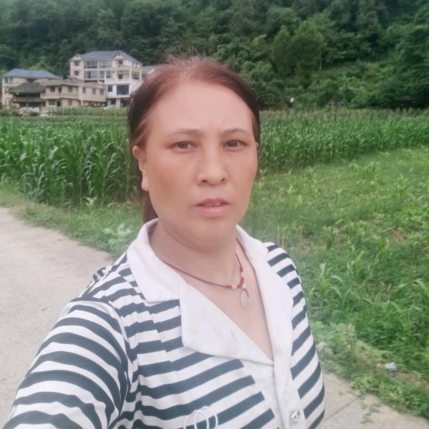 四妹（尊师疯霸申哥）