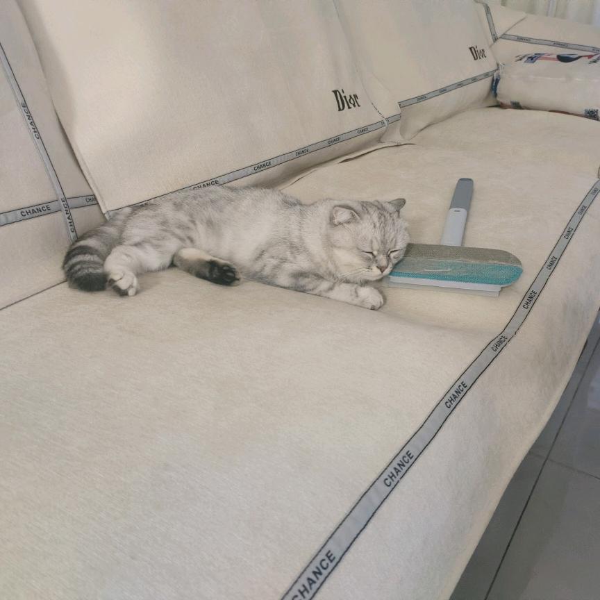 古德猫百货
