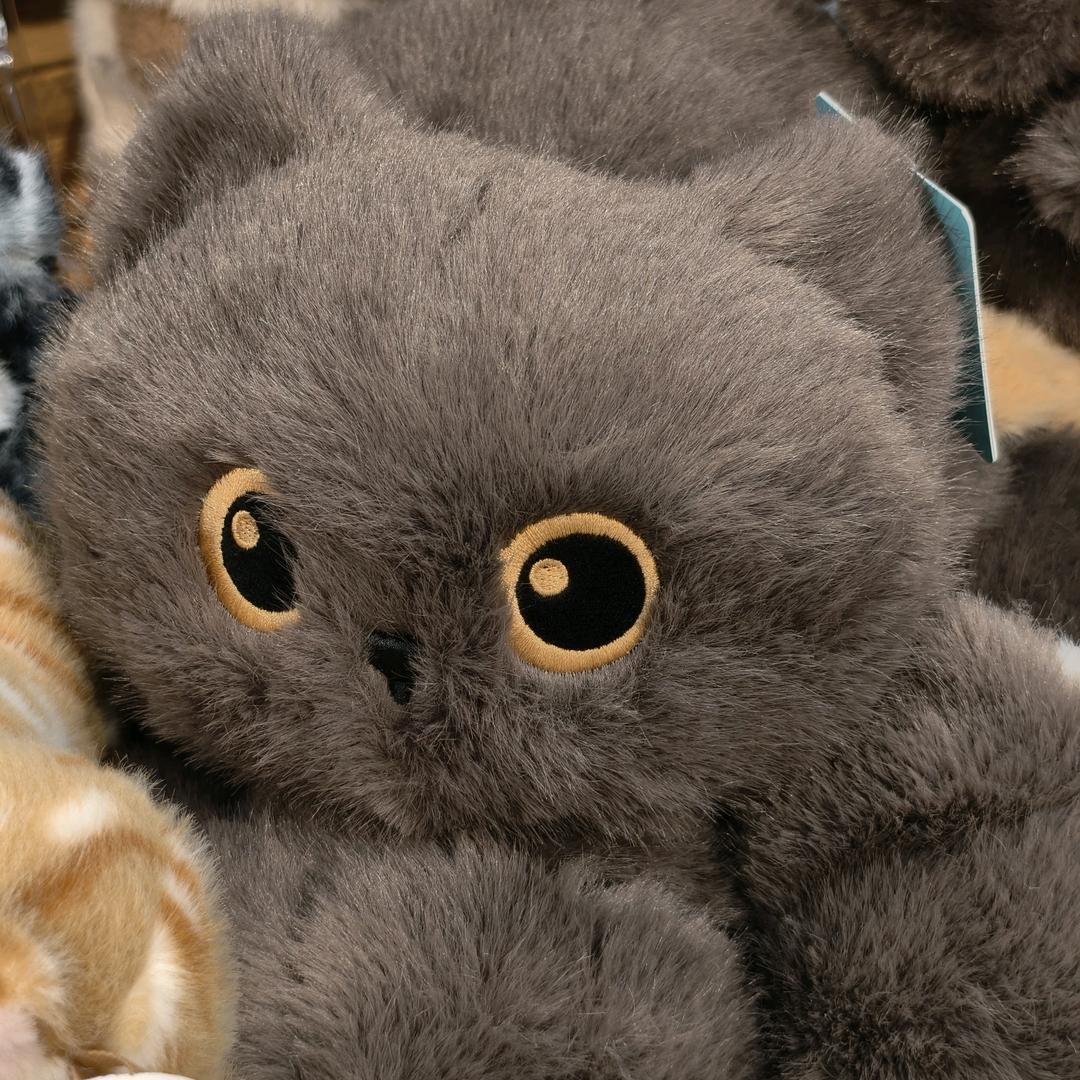 无情道大能在线当混子