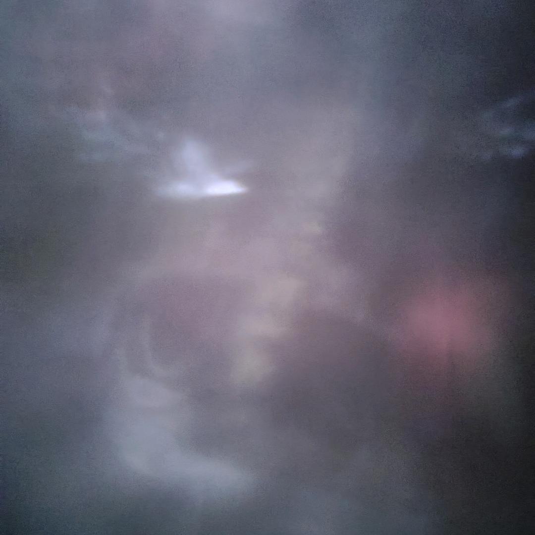 从江·下司犬爱好者