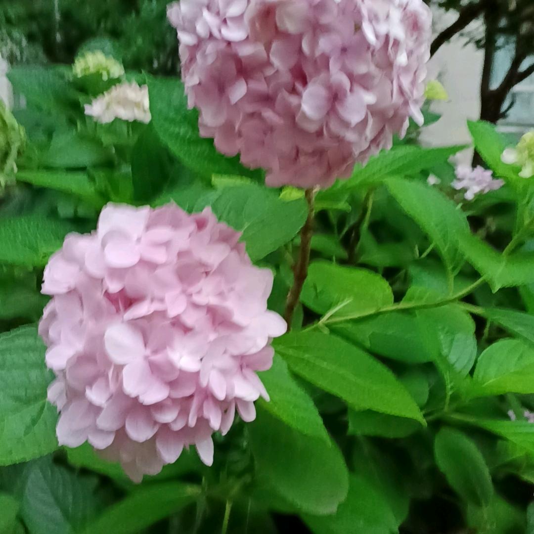 悠悠岁月
