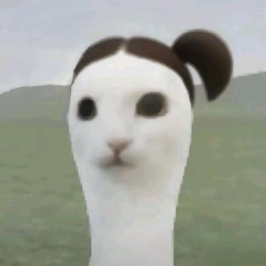柚子皮
