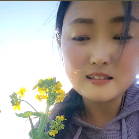 乡厨梅姐（墩集韩雷）流动上门包席餐车一条