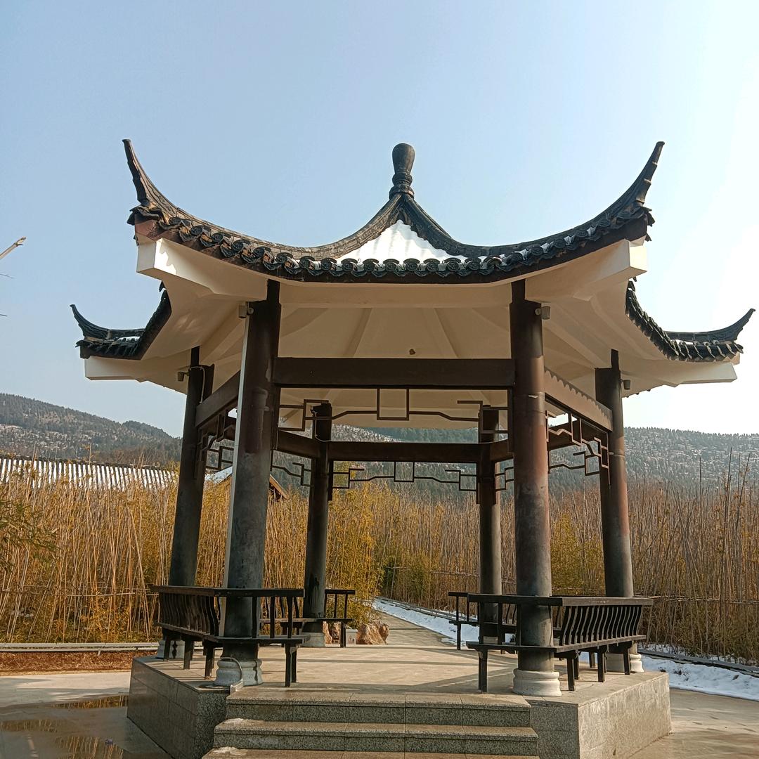 风里雨里抖音里等你