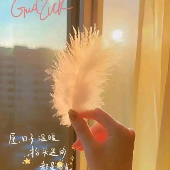 jingjie