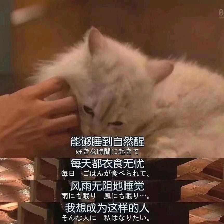 7是我的幸运数字