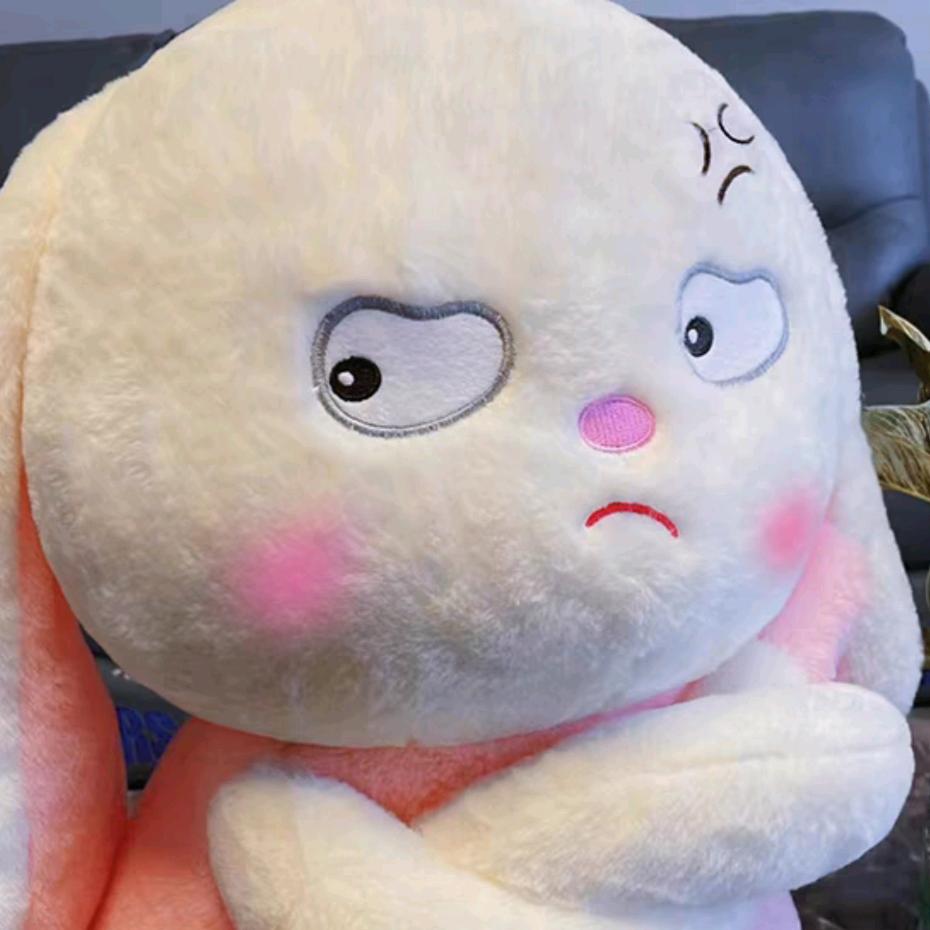 ༺兎崽ふ🐰༻