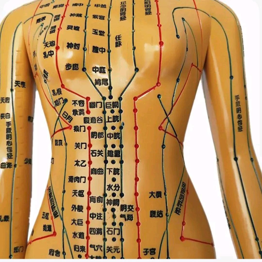 各种疾病自我恢复过程讲解与指导！