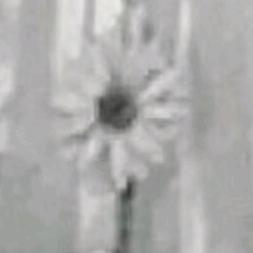 oNB