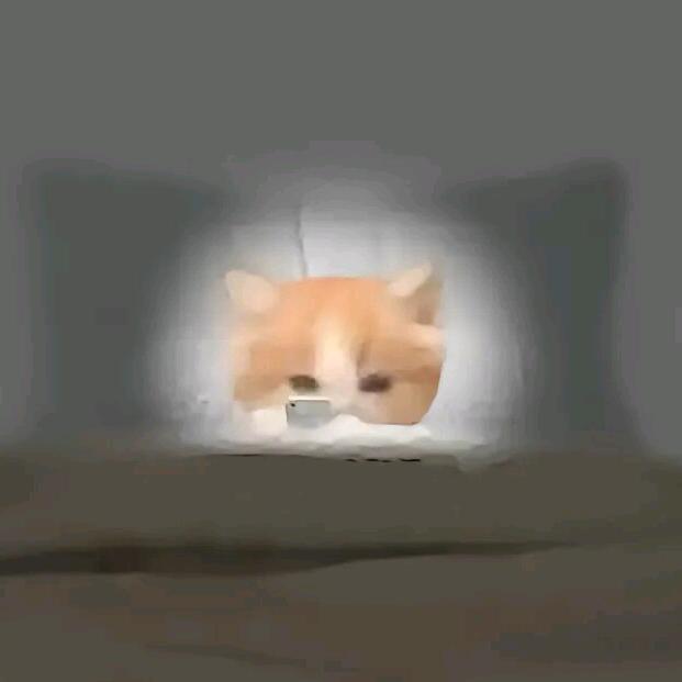 再说吧