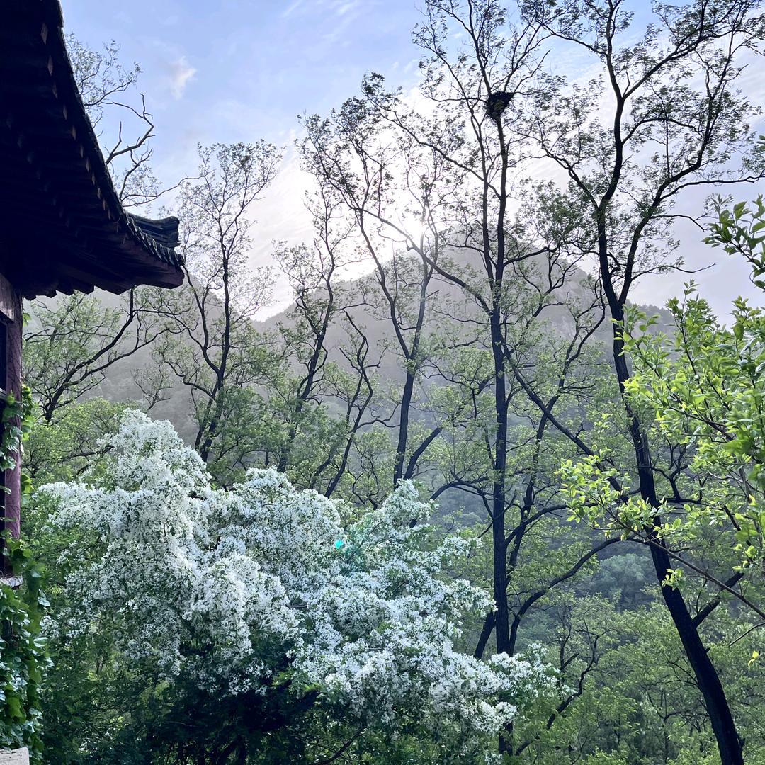 小张找工作