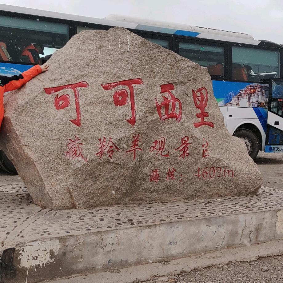 想哥带你去旅行