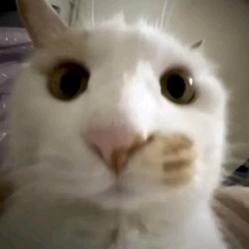 我超。