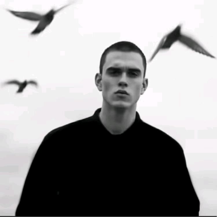 张浩然生猪购销