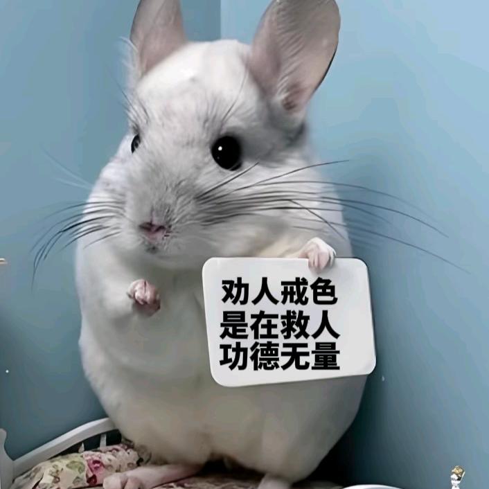 以戒为师