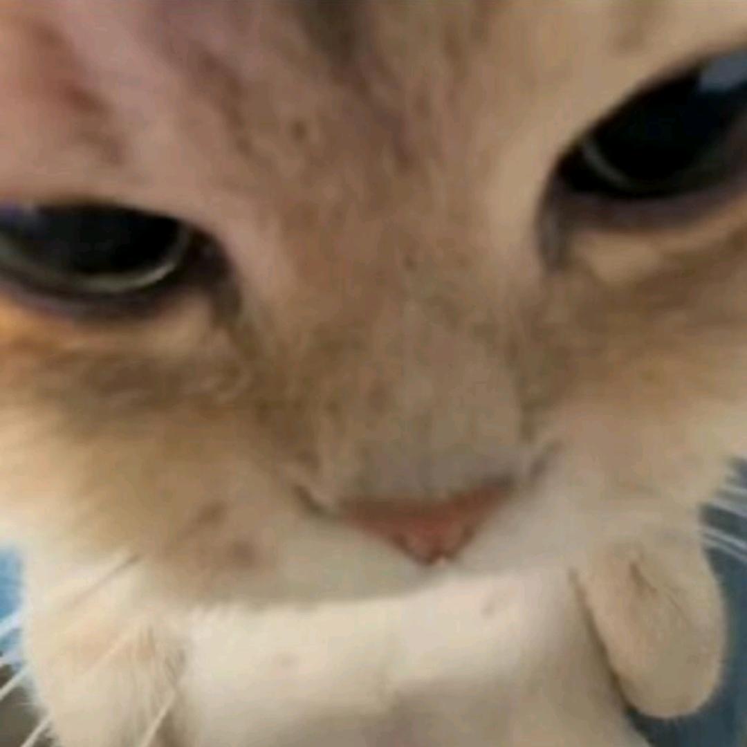 库库