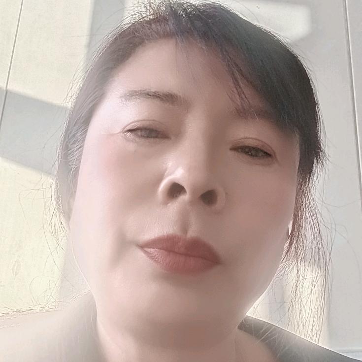 燕子（橱窗好物）