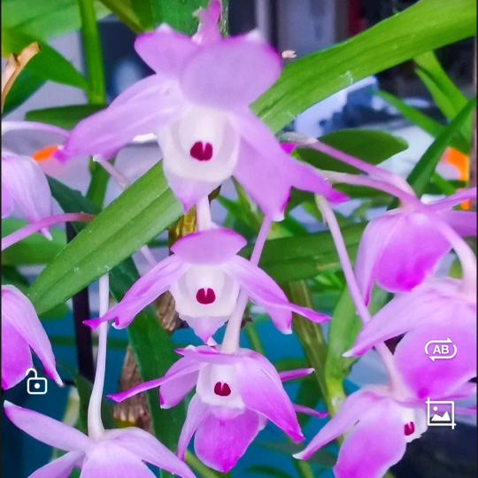 不失诚信