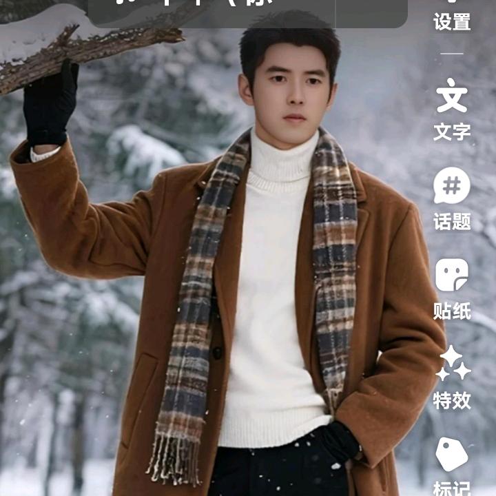 中国红边城凤凰—韩恒忠