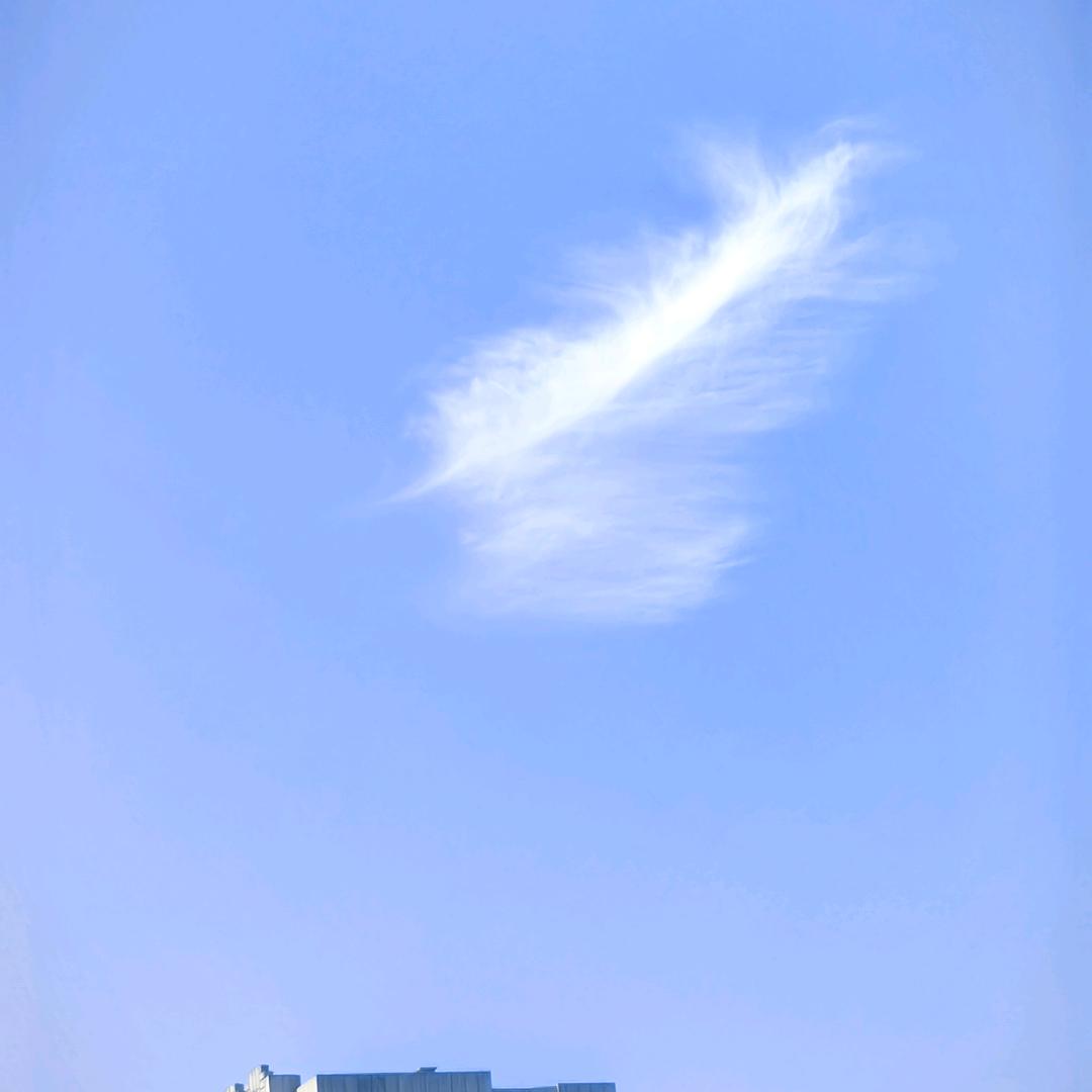 ys