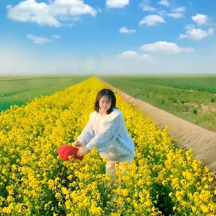 小小猫