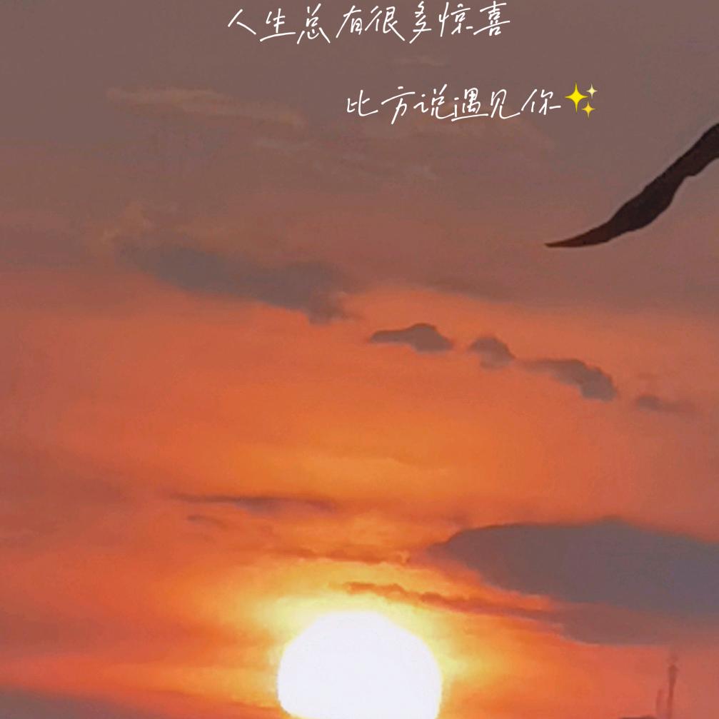 晨曦姐