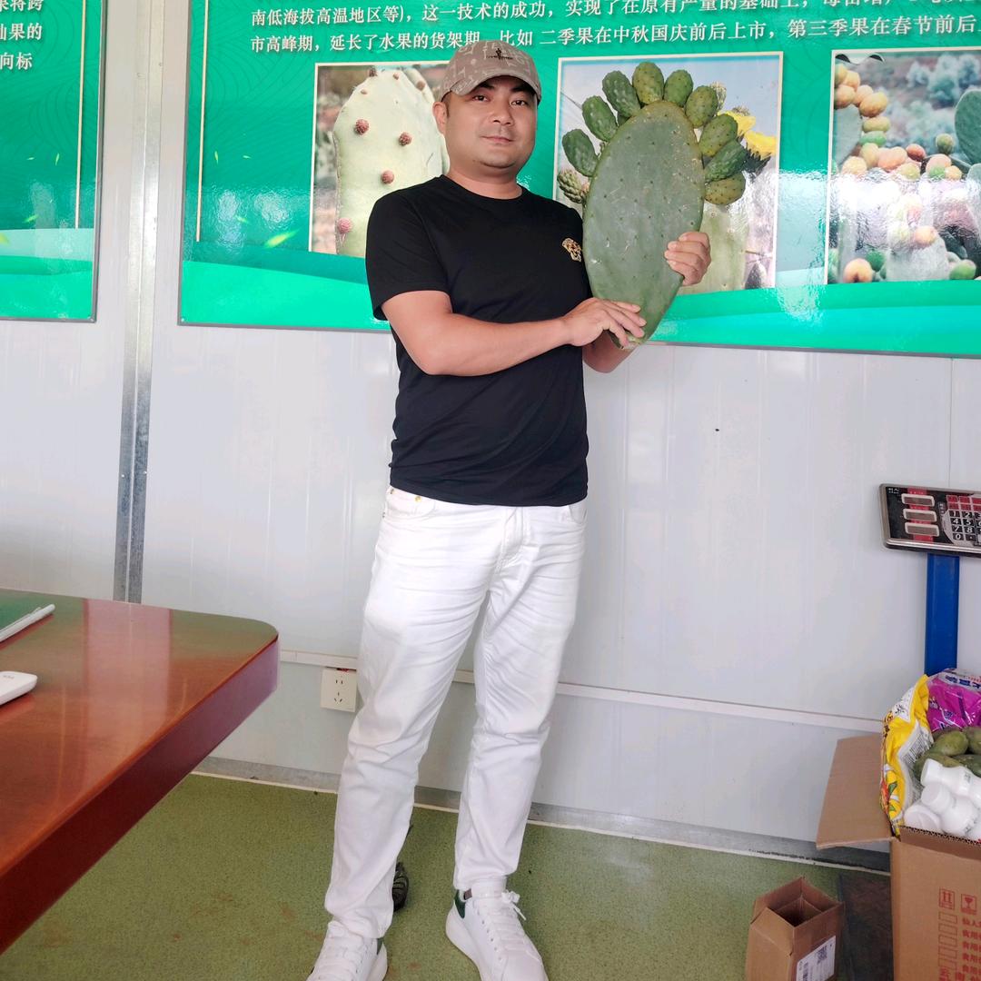 云南掌中宝农业发展有限公司