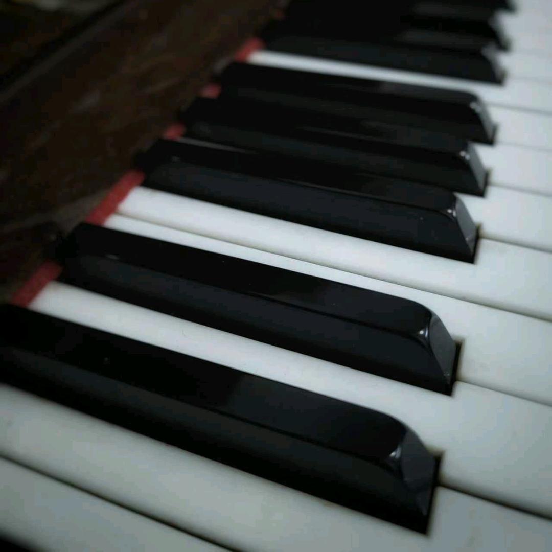 林子Lincy（音乐区）